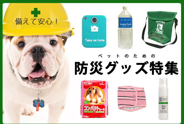 ペットのための防災グッズ特集