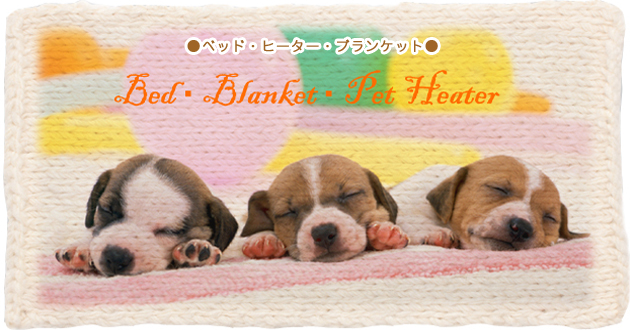 �٥åɡ��ҡ��������֥�󥱥å�