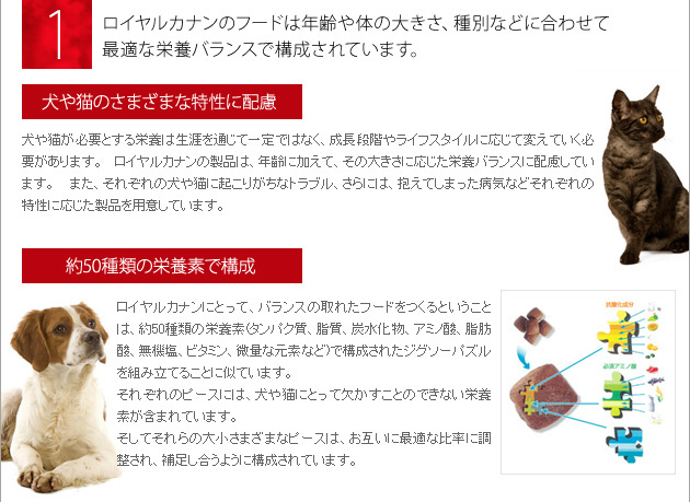 ������륫�ʥ�
